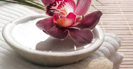 ESI-870×400-ambiance1 ESI-870×400-ambiance1